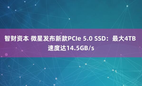 智财资本 微星发布新款PCIe 5.0 SSD：最大4TB 速度达14.5GB/s